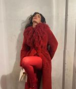 IMG_2295.jpeg