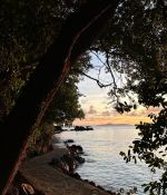 IMG_0706.jpeg