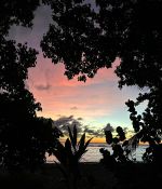 IMG_0944.jpeg