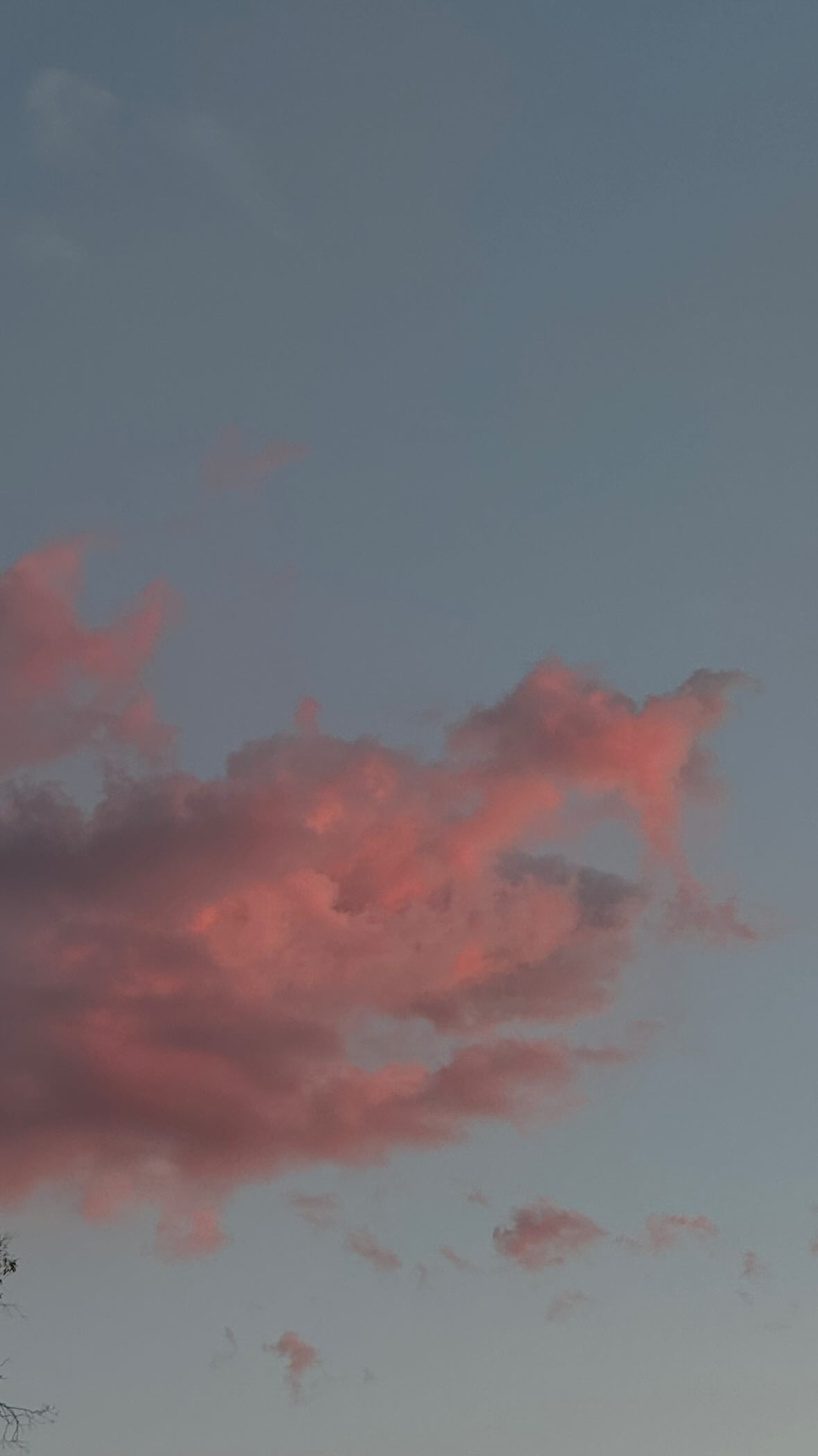 1000132257.jpg
