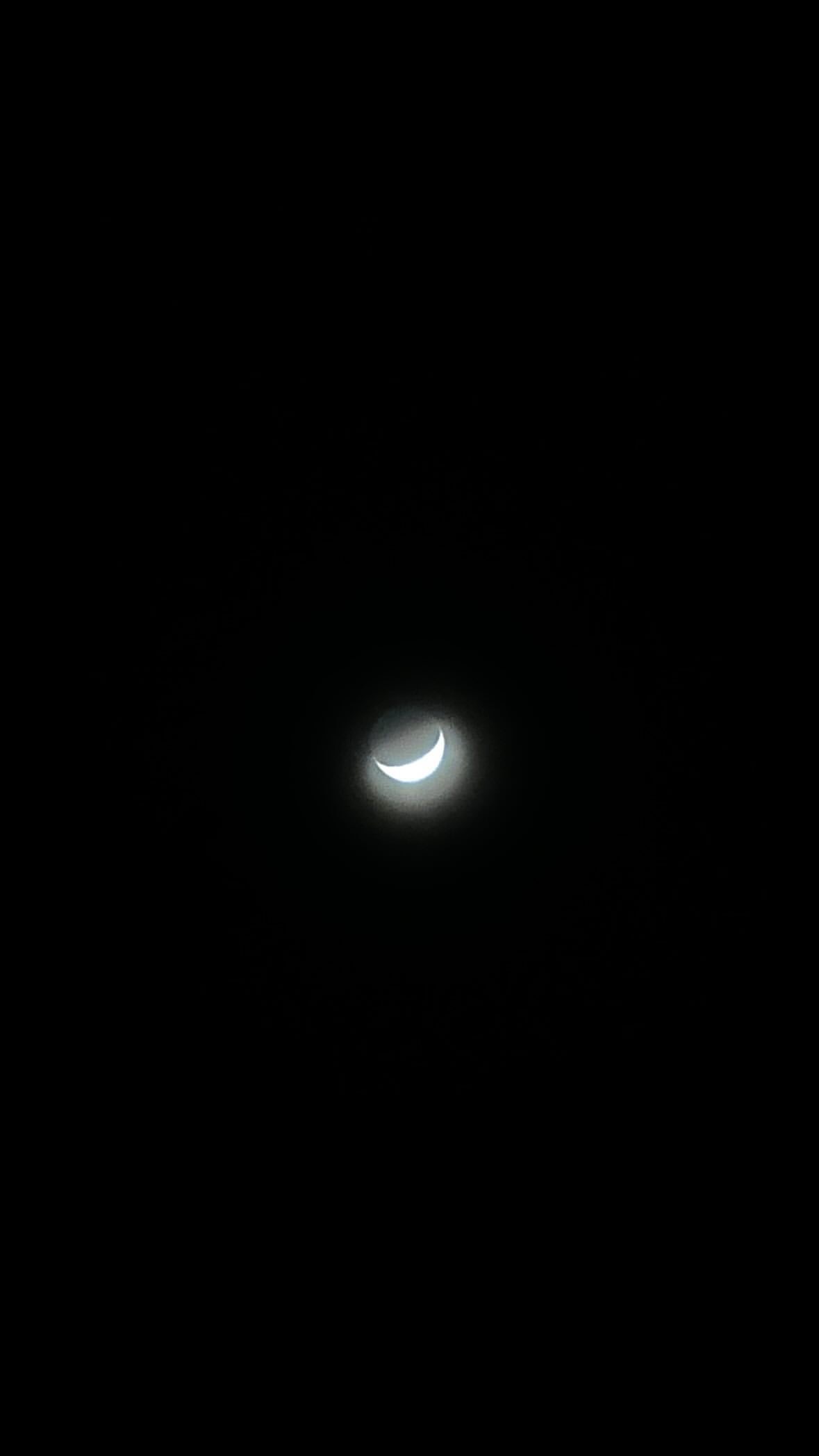 IMG_1244.jpeg