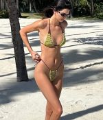 IMG_0870.jpeg