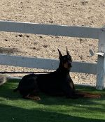 IMG_1215.jpeg