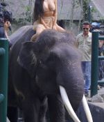 Access_Kardashian_04.jpg