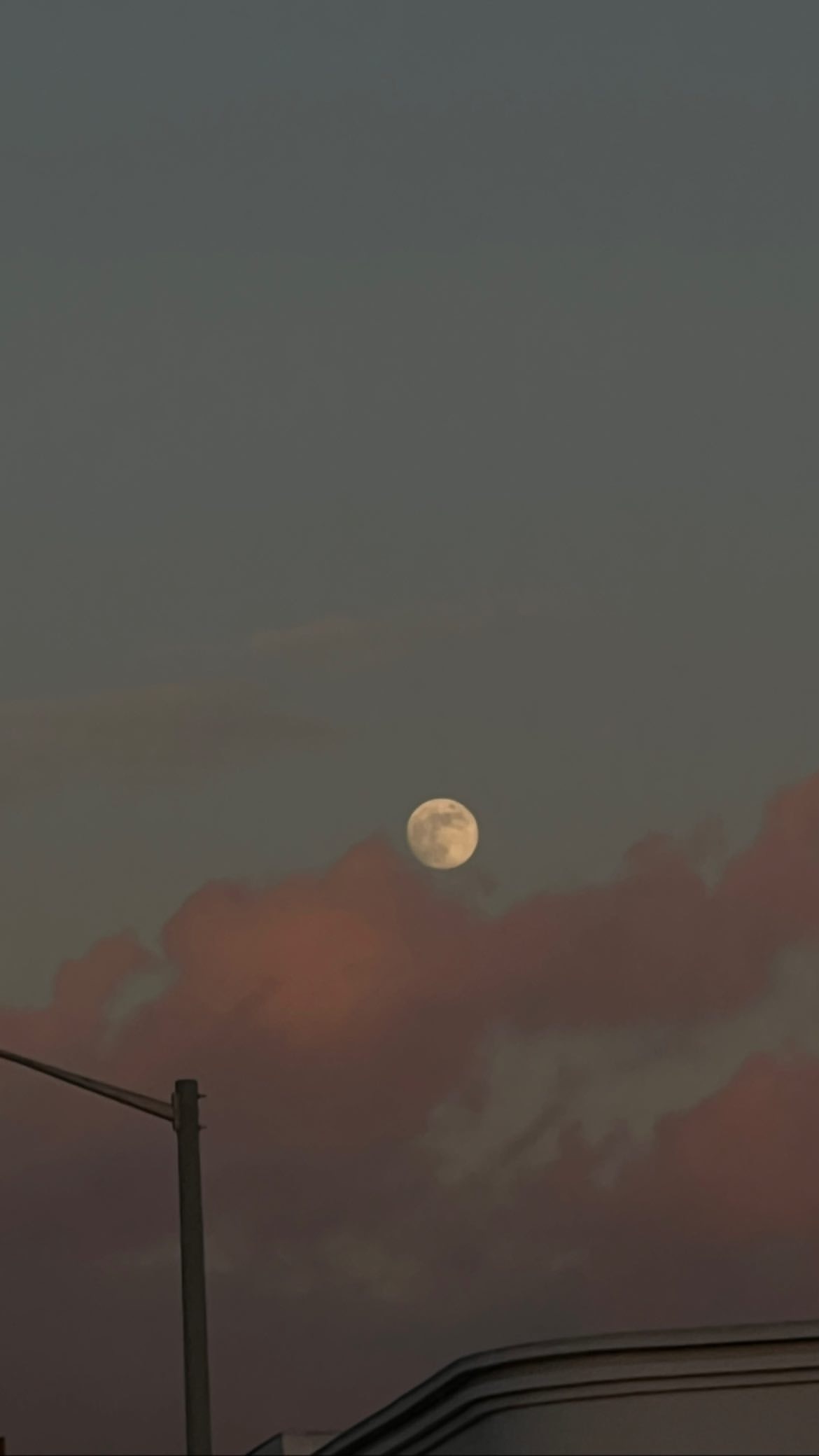 2A1B7ABF-52E5-4B9E-9272-259865C6745F.jpeg