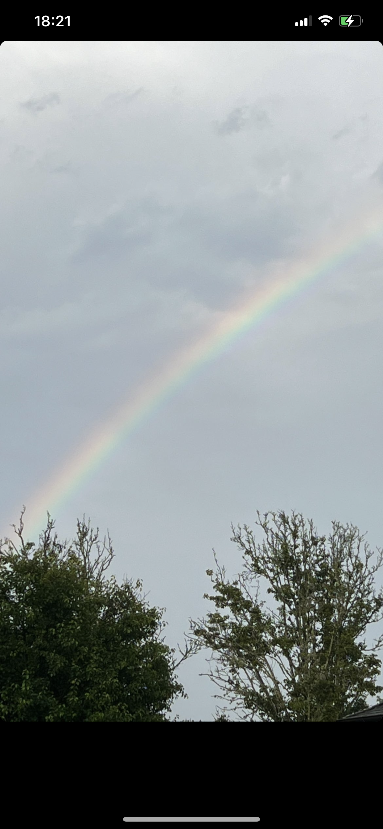57E389C0-B2E5-4114-B6D4-AD56530F168B.png