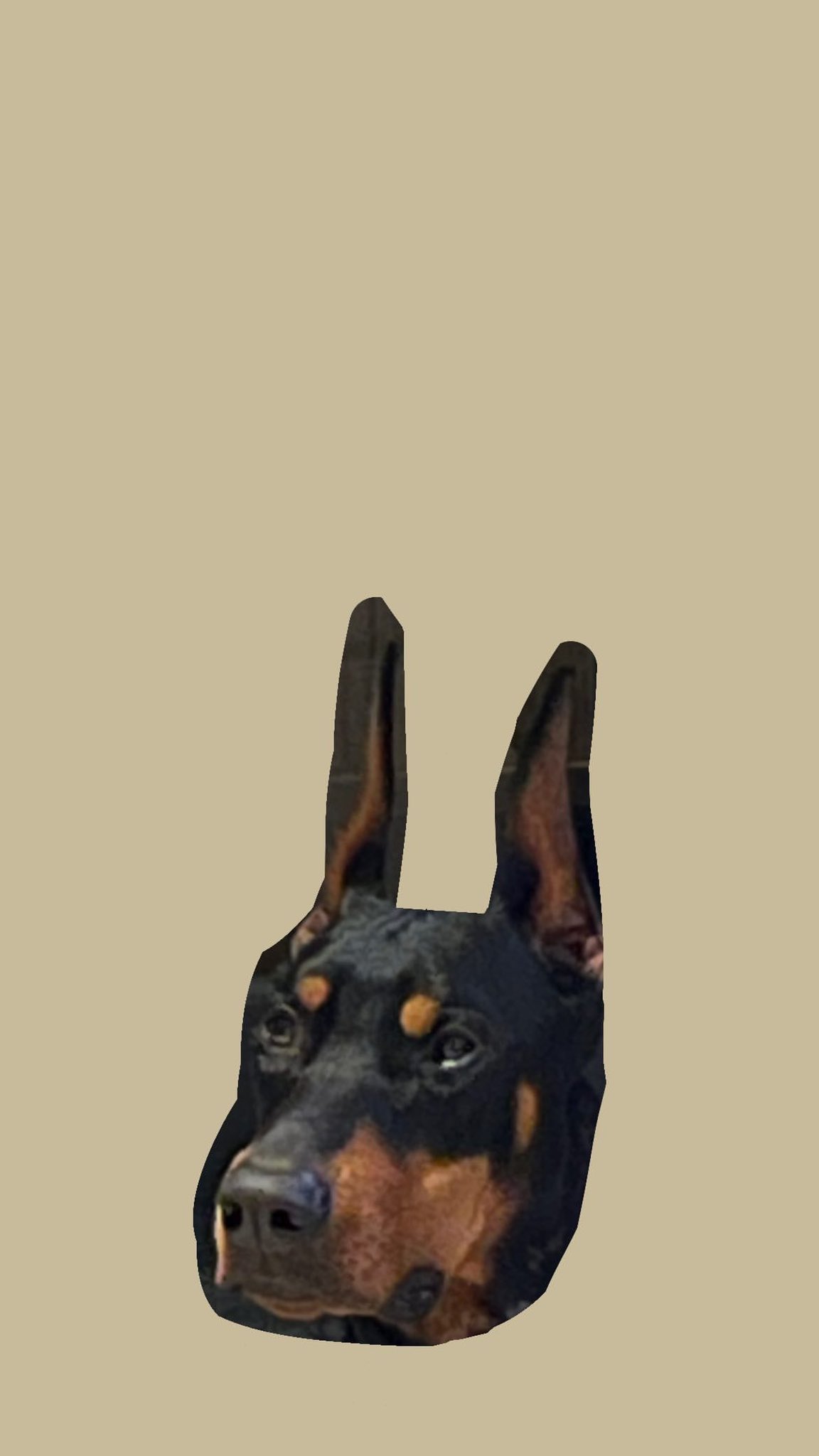 access_2810429~0.jpeg