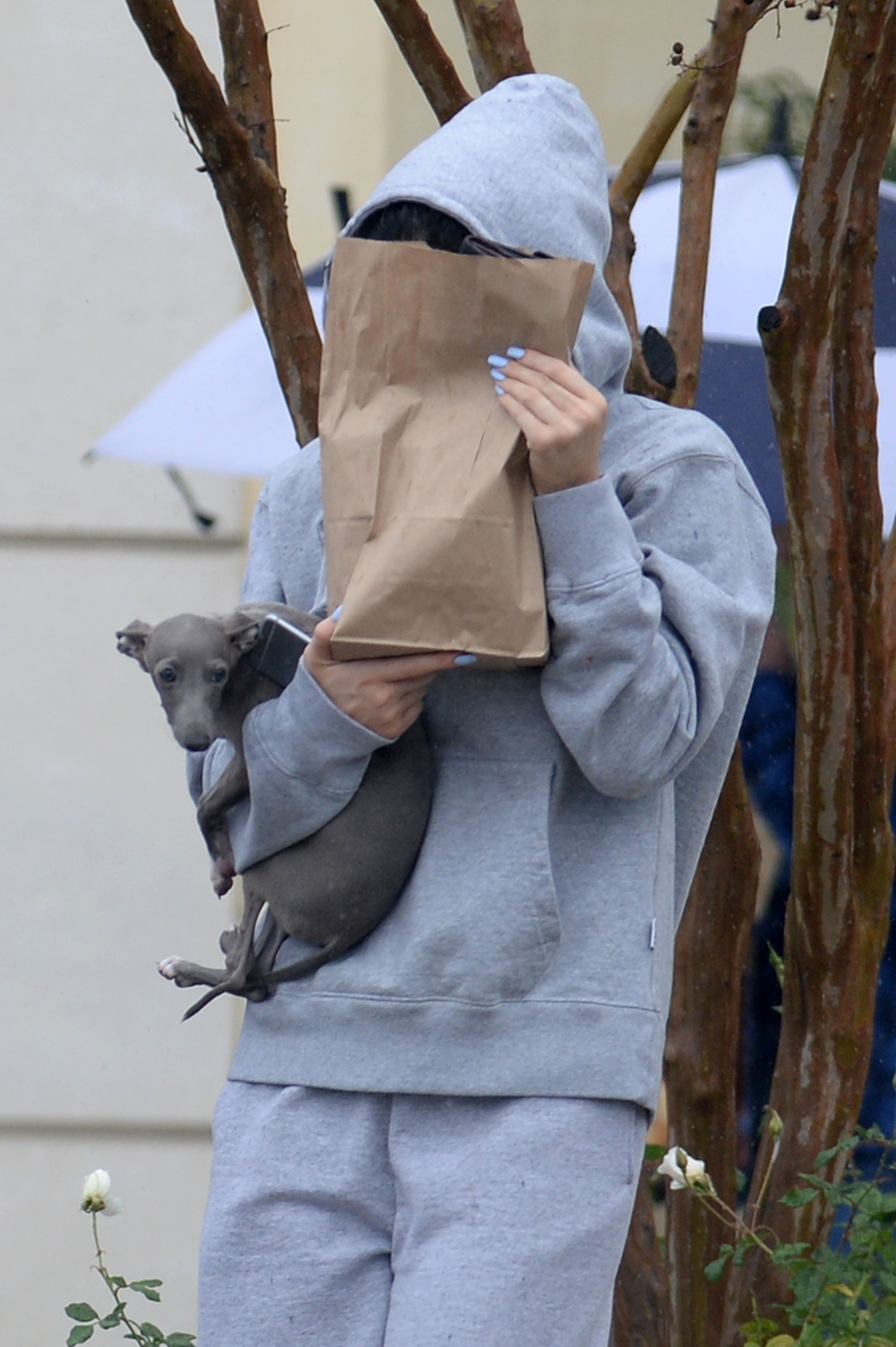Access_Kardashian_02.jpg