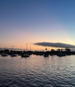 55E28944-DA98-4662-BEED-D9F1BB84556C.jpeg