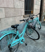 776BF19C-4CBD-4CC1-9875-3CF674229533.jpeg