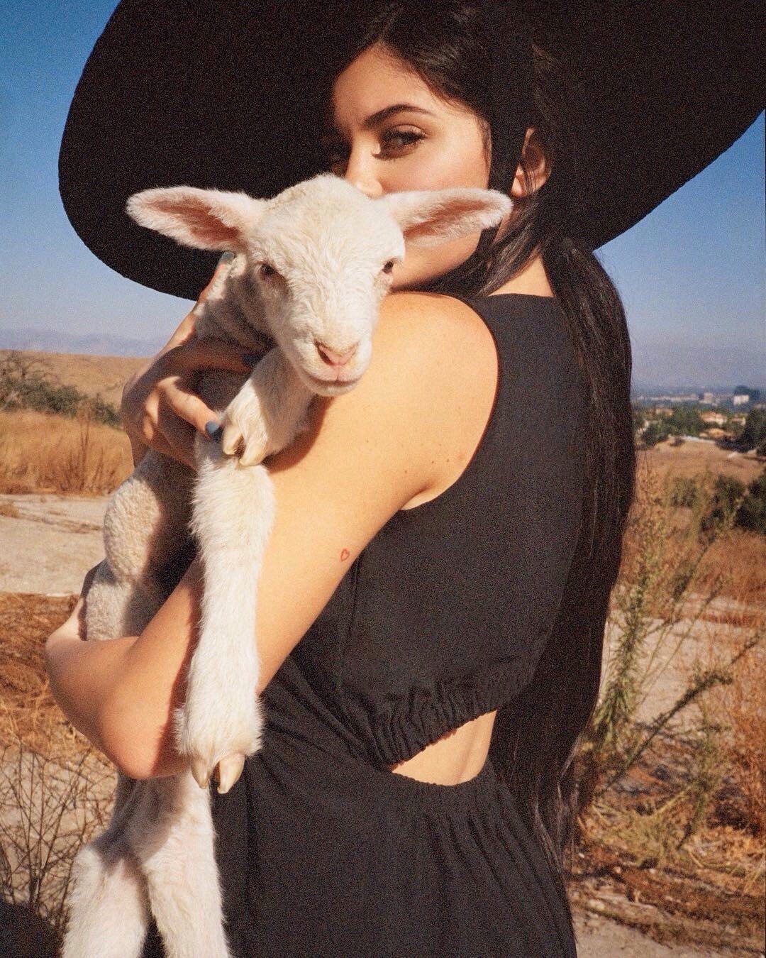 Access_Kardashian_03.jpg