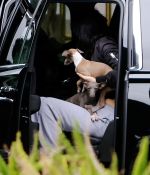 Access_Kardashian_02.jpg