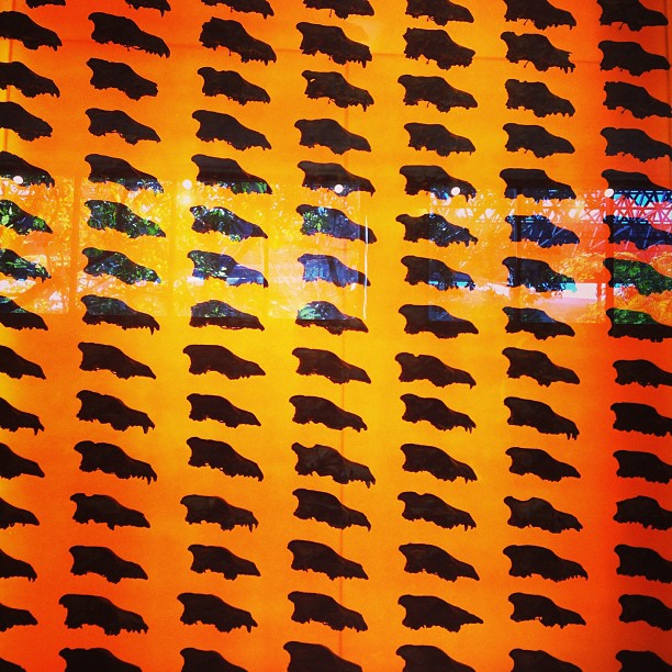28427430_926379630866740_3458920283694432256_n.jpg