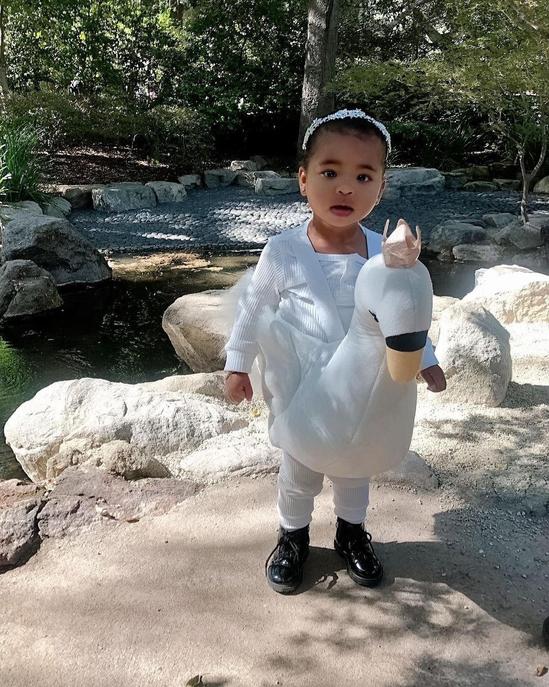 72391379_143583040358244_3801239888988577796_n.jpg