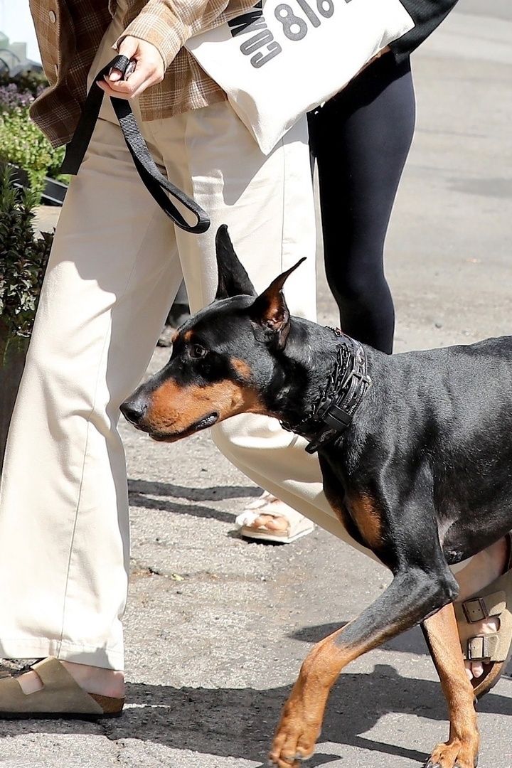 Access_Kardashian_006.jpg