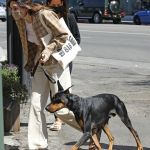 Access_Kardashian_019.jpg