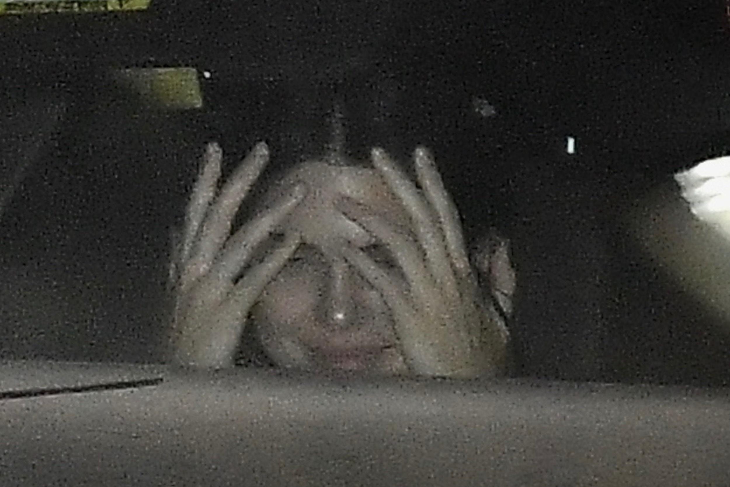Access_Kardashian_17.jpg