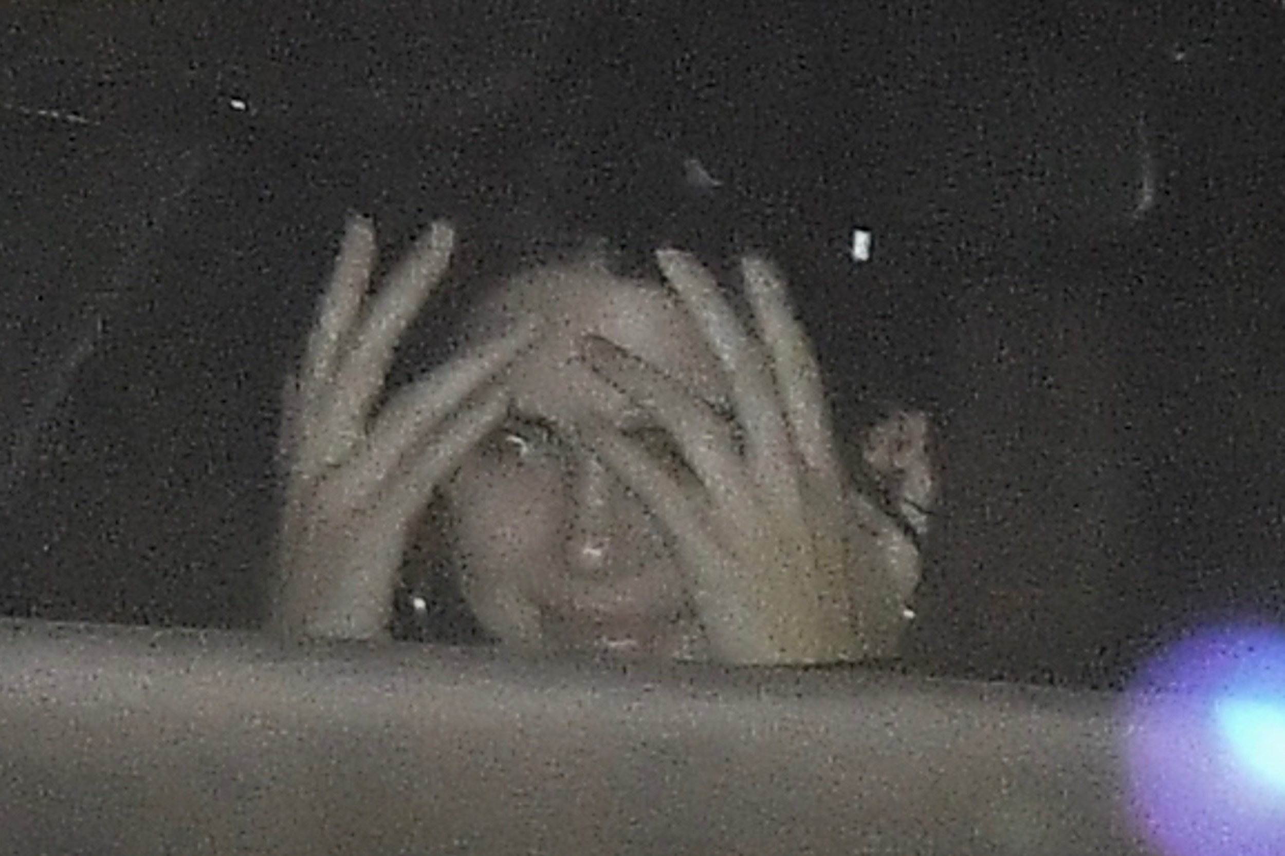Access_Kardashian_21.jpg