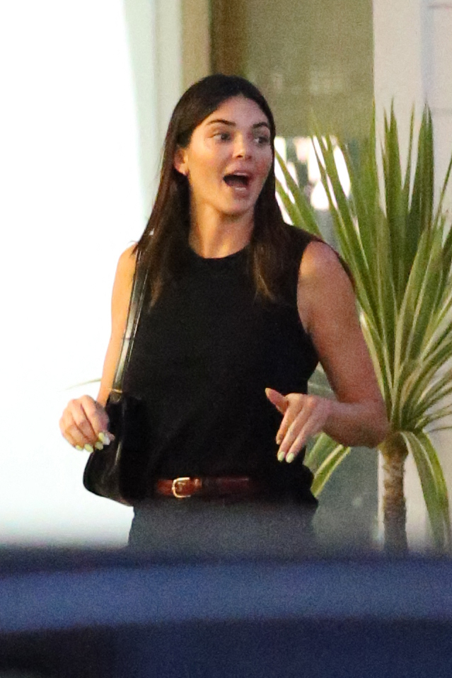 Access_Kardashian_5.jpg