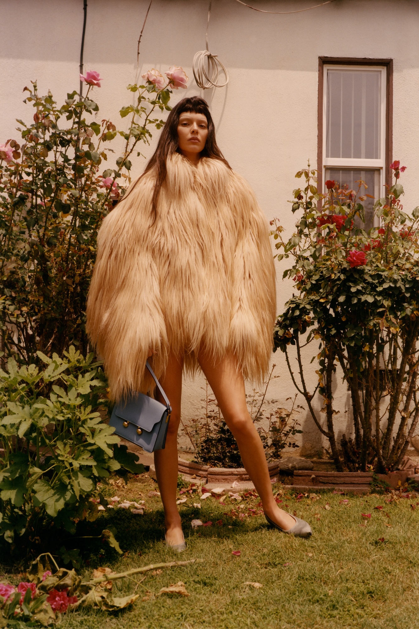 Access_Kardashian.jpg