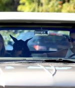 Access_Kardashian_4.jpg
