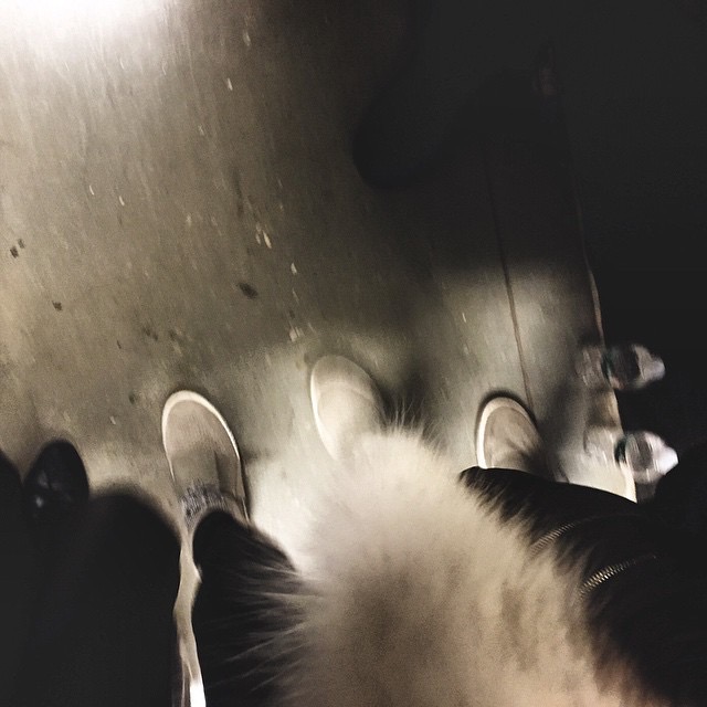 E6126780-33EF-4F3E-86BB-566E7C227B03.jpeg