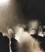E6126780-33EF-4F3E-86BB-566E7C227B03.jpeg