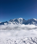06112708-1378-4A0E-B614-05D72AB3192B.jpeg