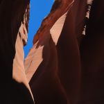 23164242_531453217207613_1105905133272694784_n.jpg