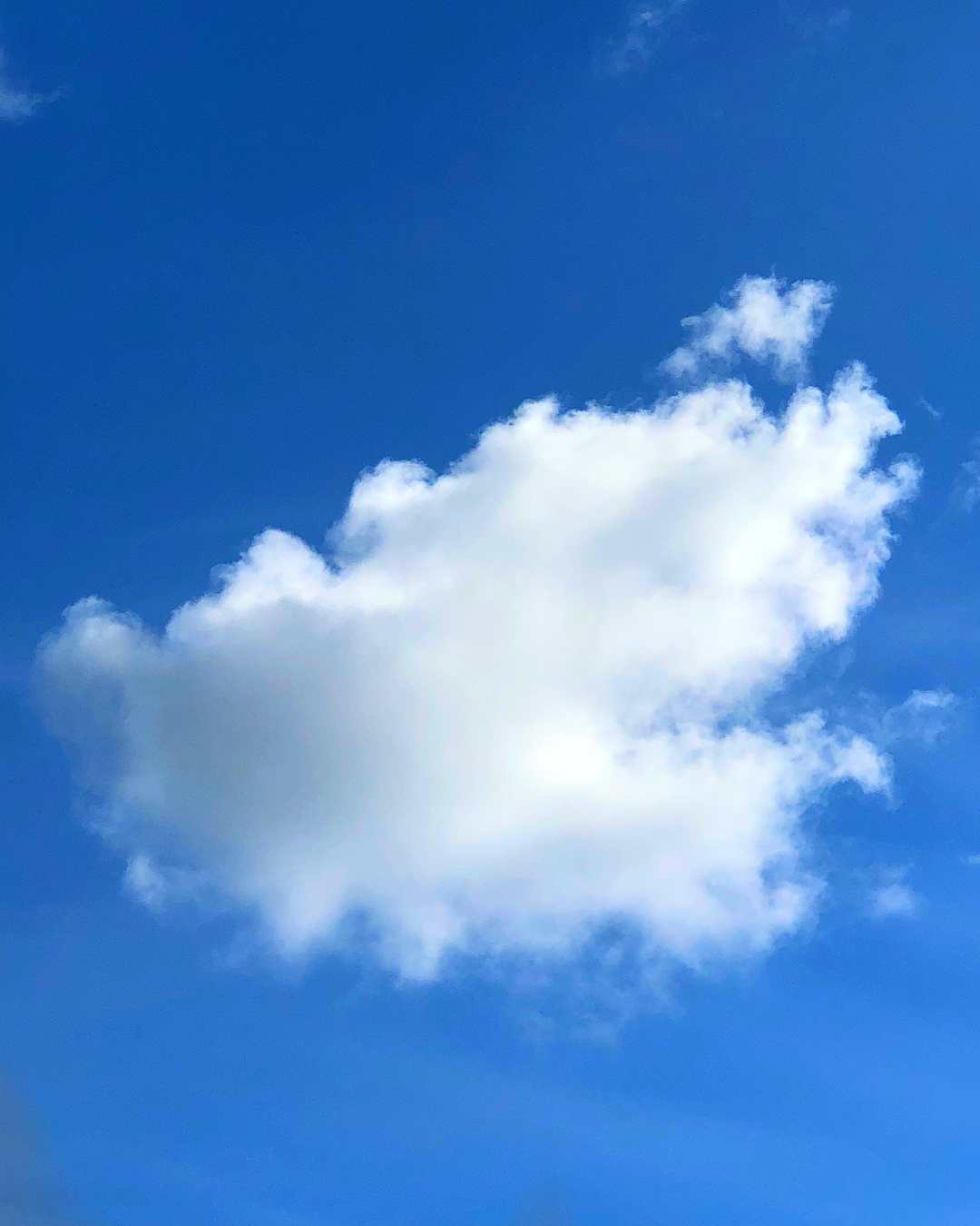38194573_2217018338532446_4991005297943248896_n.jpg