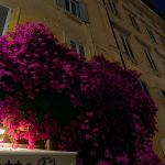 61599772_2361267787453189_6074121851512934030_n.jpg