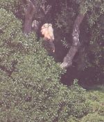 Access_Kardashian_24.jpg