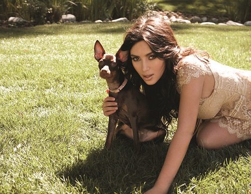 Access_Kardashian_3.jpg