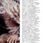Access_Kardashian_005.jpg