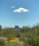 1C0B38DE-DEC3-47C9-84CA-F15713300B56.jpeg