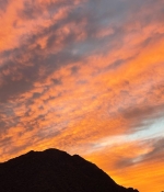 7B28AB67-E794-4480-80C8-17DA4D0780AD.jpeg