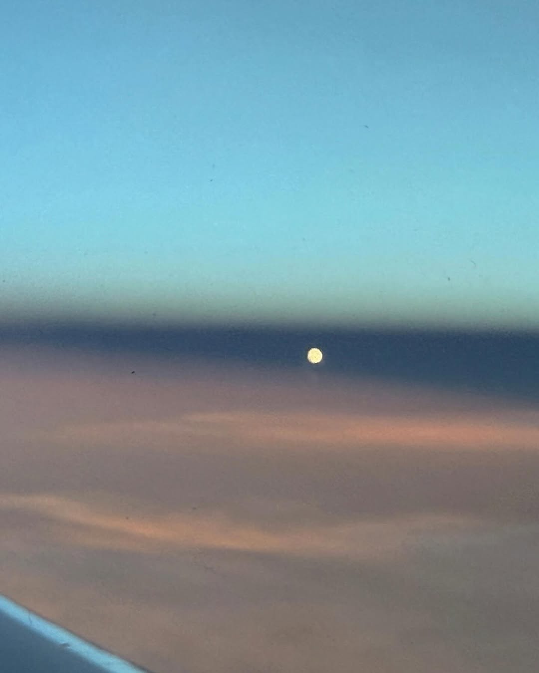 1000143102.jpg