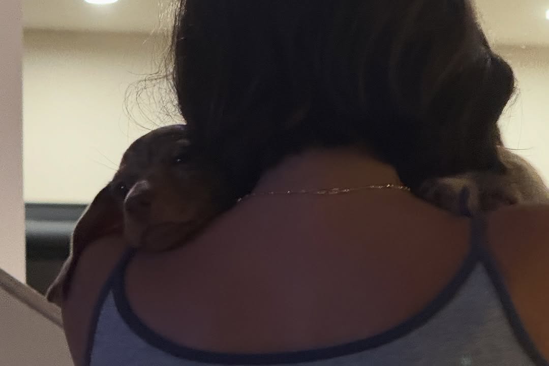 1000155773.jpg