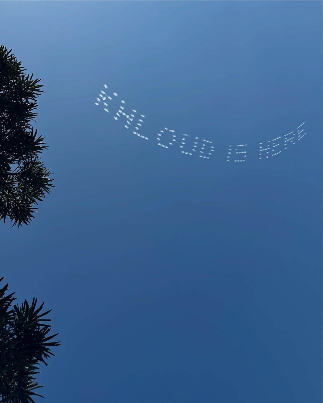 1000078071.jpg