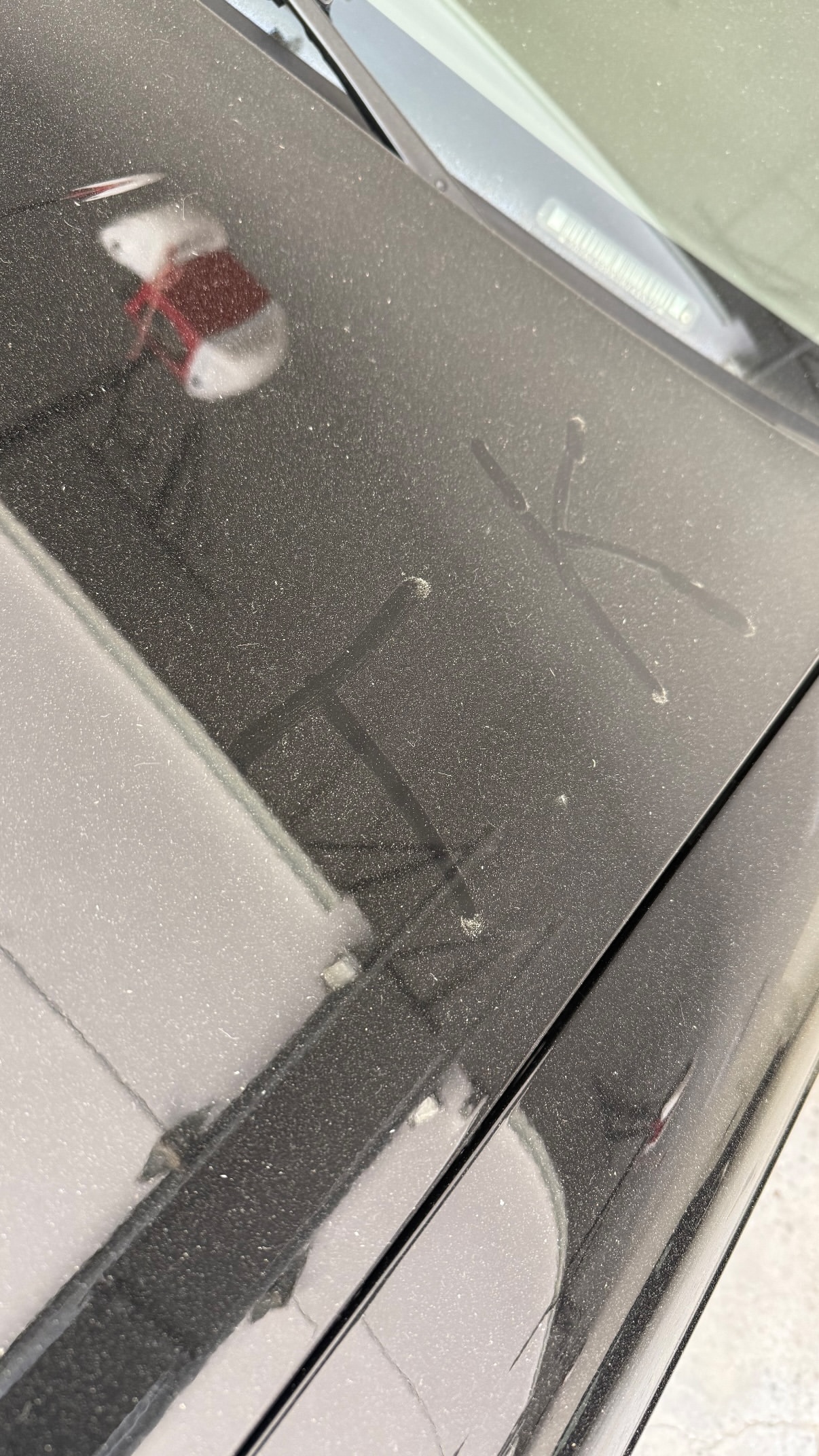 1000092515.jpg