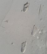 1000074335.jpg