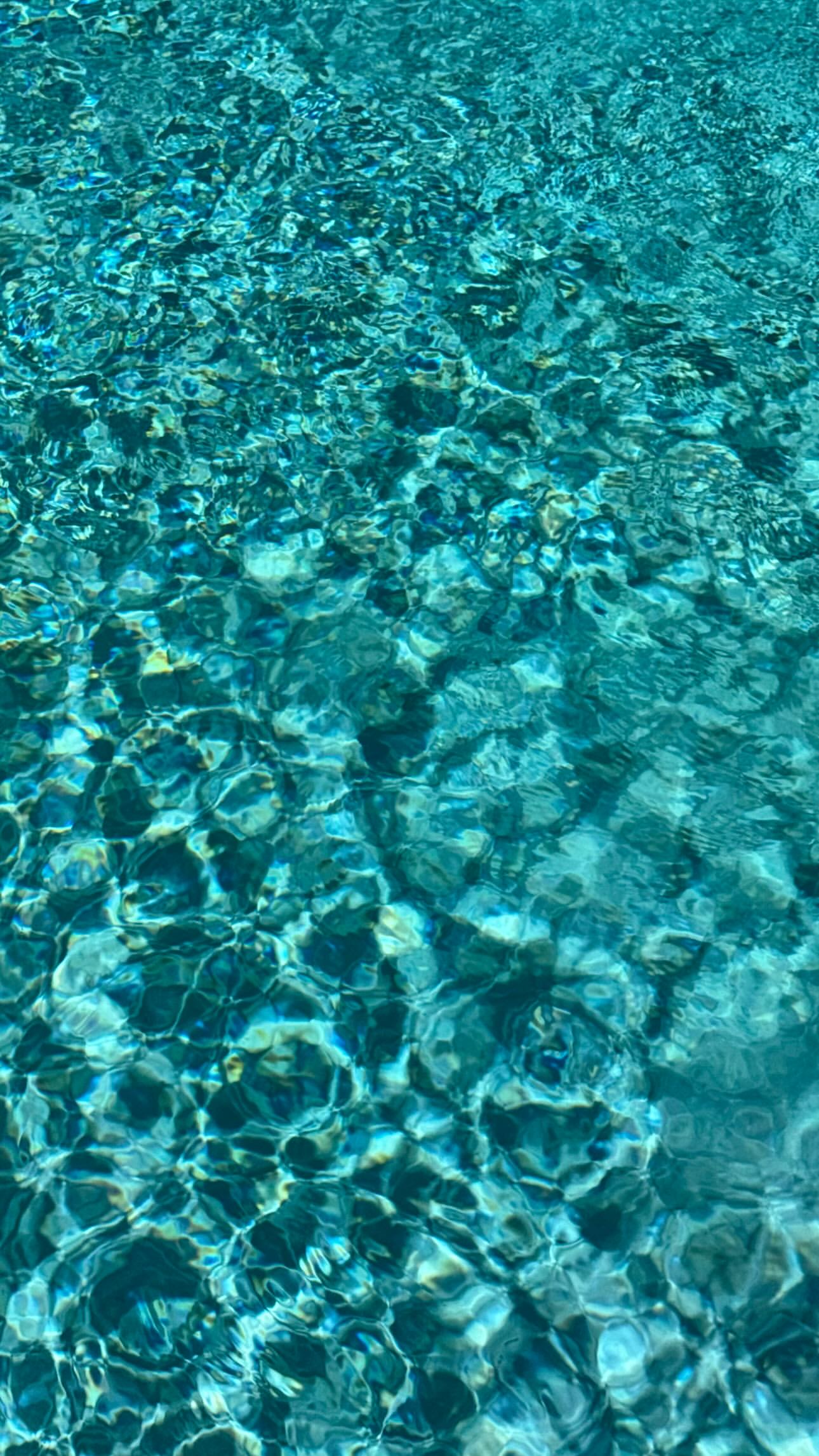 1000064795.jpg