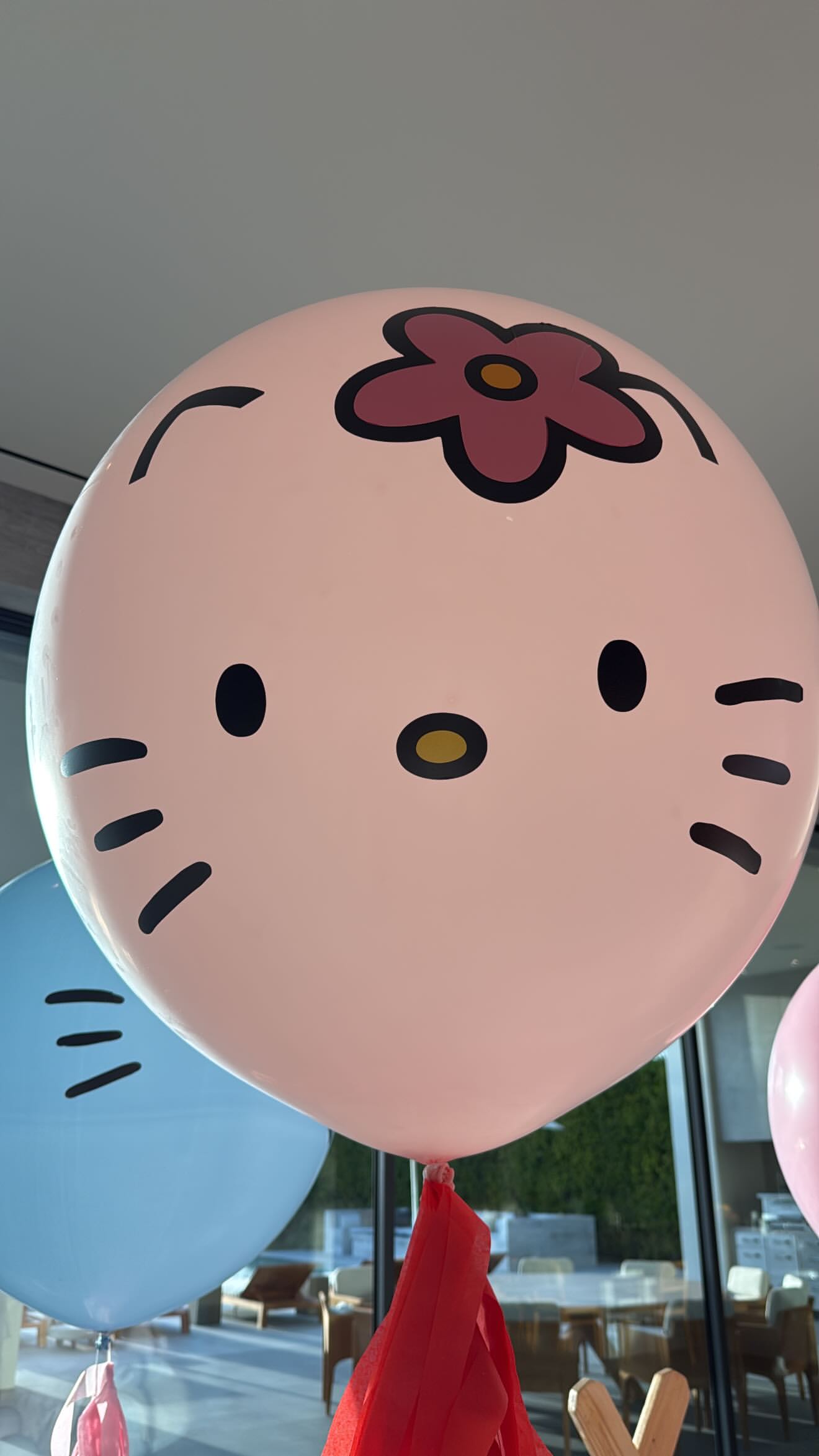 1000215966.jpg