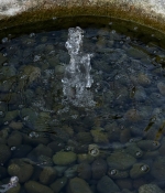 1000130307.jpg