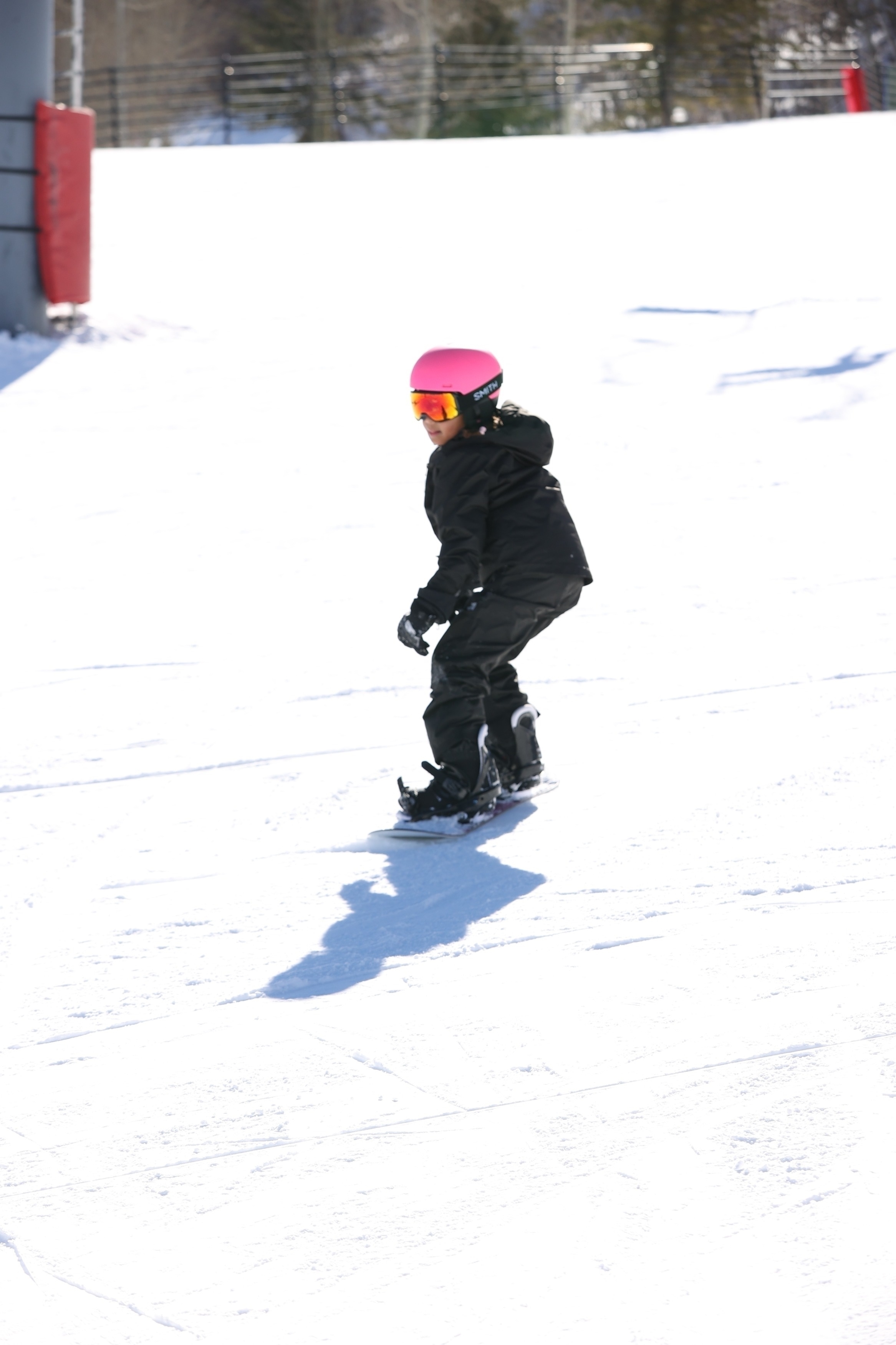 access_28329.jpg