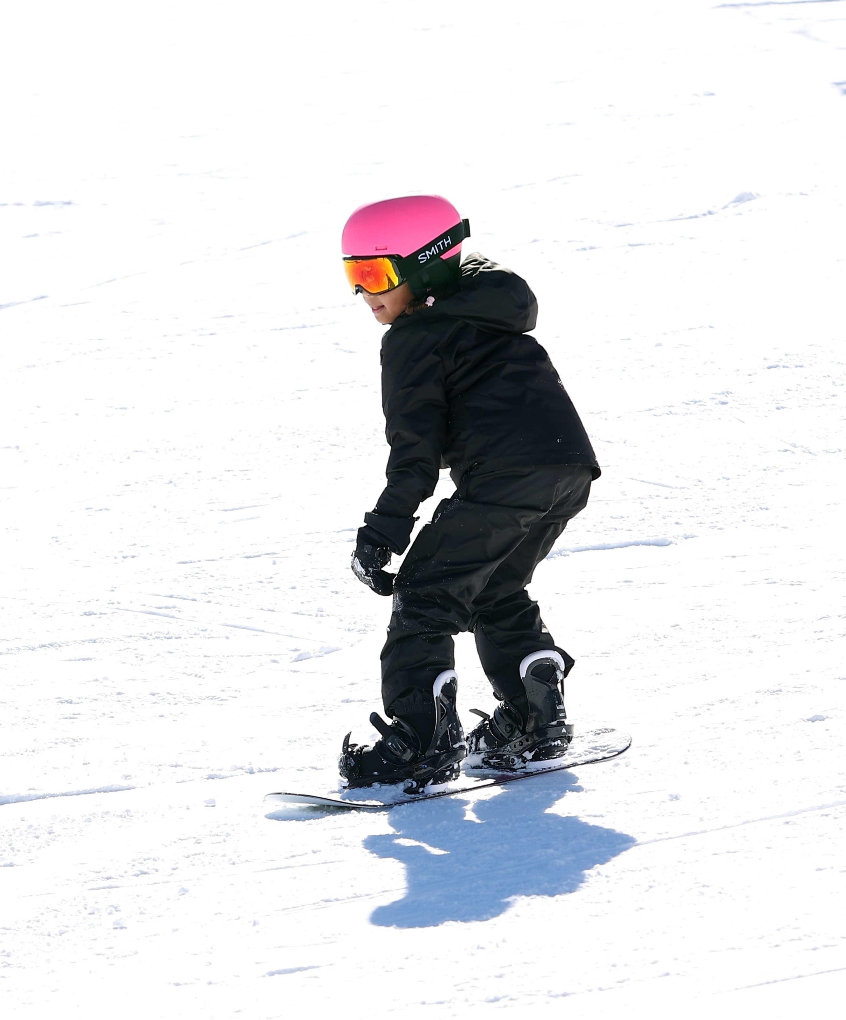 access_28729.jpg