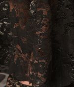 access_283629~0.jpg