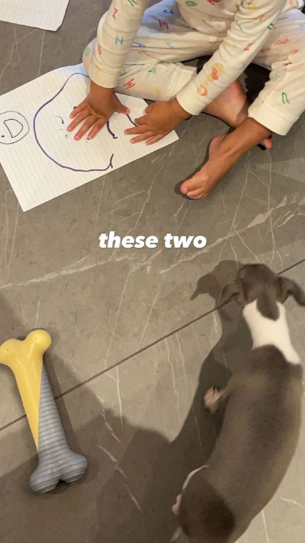 Access_Kardashian_270.jpg