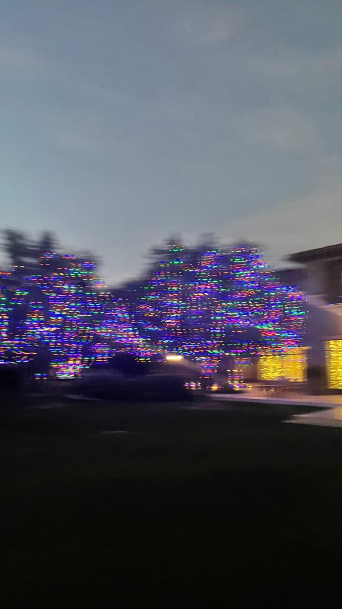 131547489_140783731178367_5905411385114811846_n.JPEG