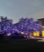 131547489_140783731178367_5905411385114811846_n.JPEG